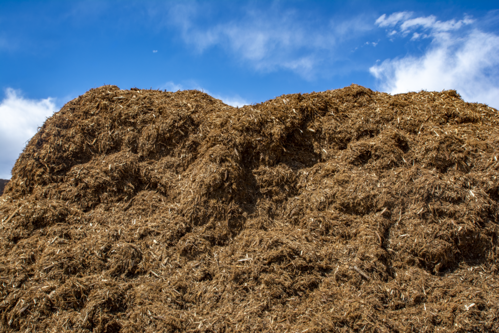 Washington cedar mulch