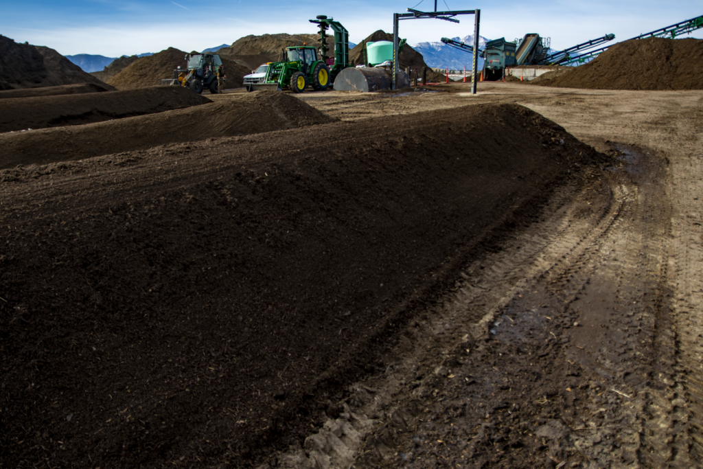 Humus compost
