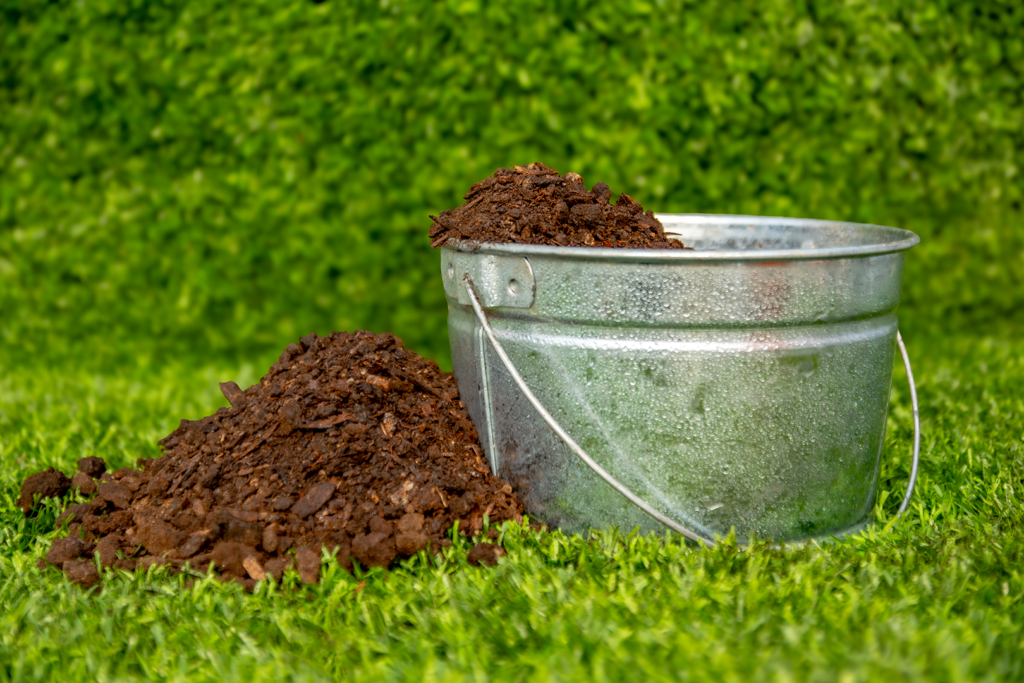 cow manure in pail against a green background