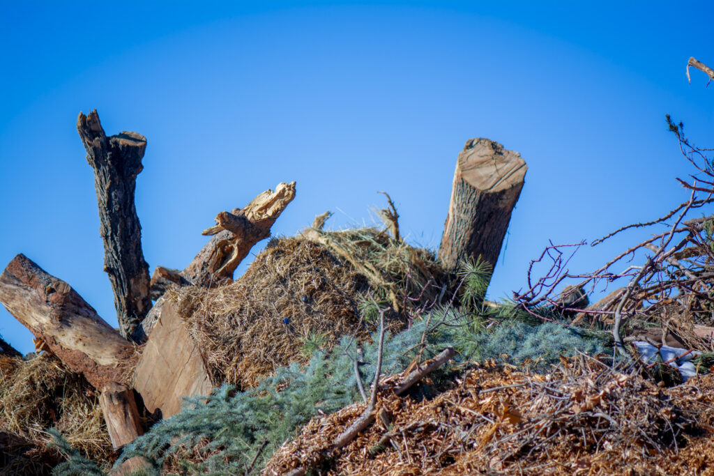green waste pile